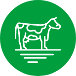 logo catégorie animaux de ferme